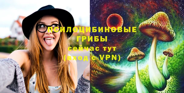 a pvp Володарск